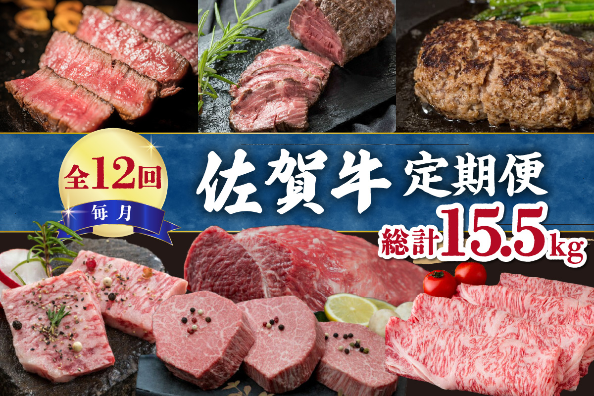 【全12回】毎月お届け 佐賀牛 定期便 総計15.5kg 999-J475