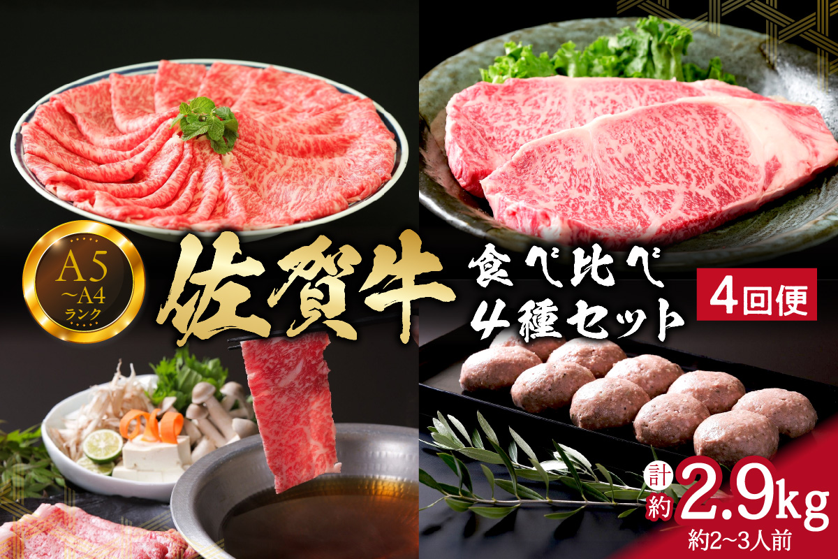佐賀牛4種食べ比べセット 4回便 合計2.9kg （約2～3人前） サーロイン ロース ハンバーグ ステーキ しゃぶしゃぶ すき焼き 999-J664