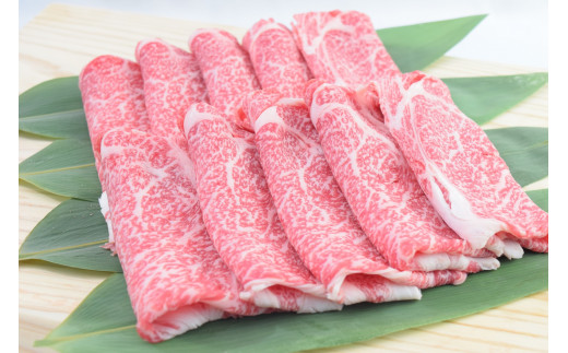 佐賀牛ローススライス すき焼き用 500g (500g×1パック) 149-J1798