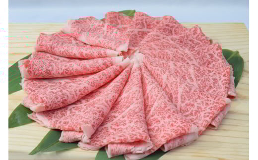 佐賀牛ローススライス しゃぶしゃぶ用 500g (500g×1パック) 149-J1800