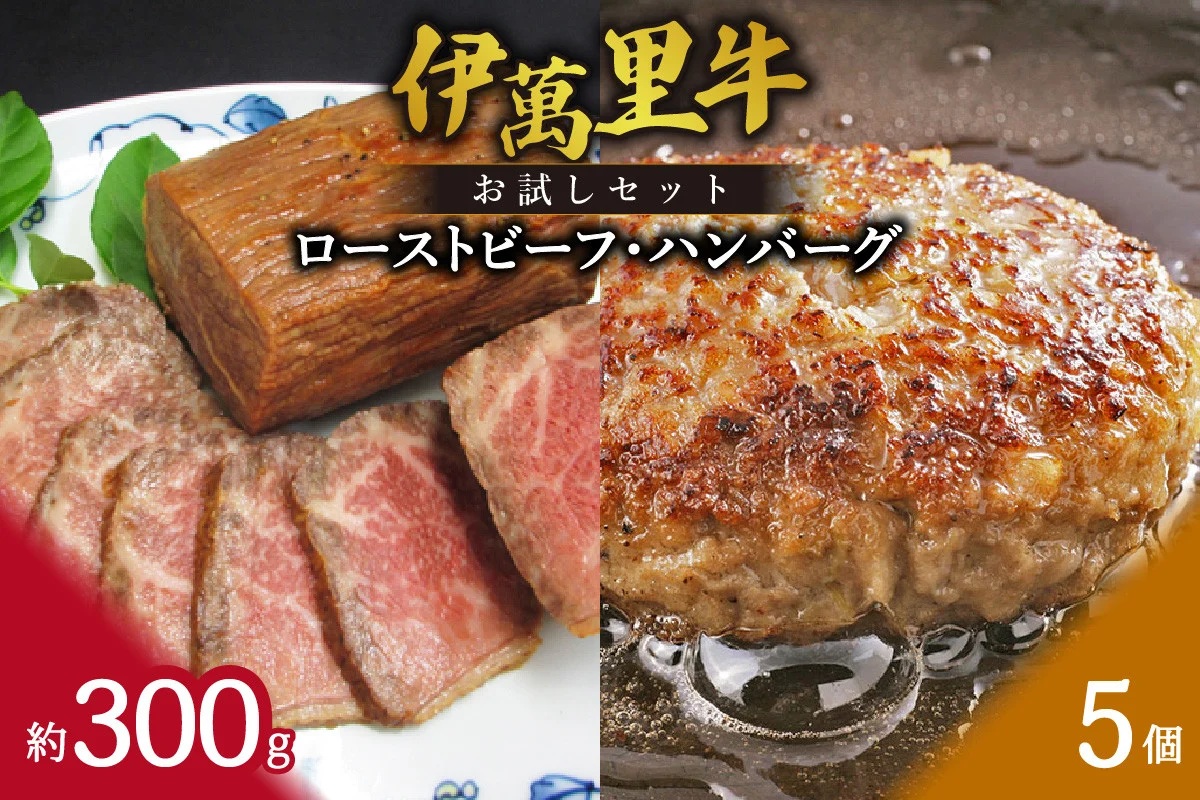 【伊萬里牛100%使用】 伊万里牛ハンバーグとローストビーフセット 007-J1781