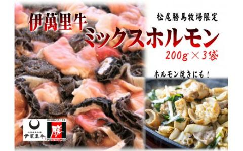 伊万里牛ミックスホルモン 約600g ホルモンたれ付 007-J1456