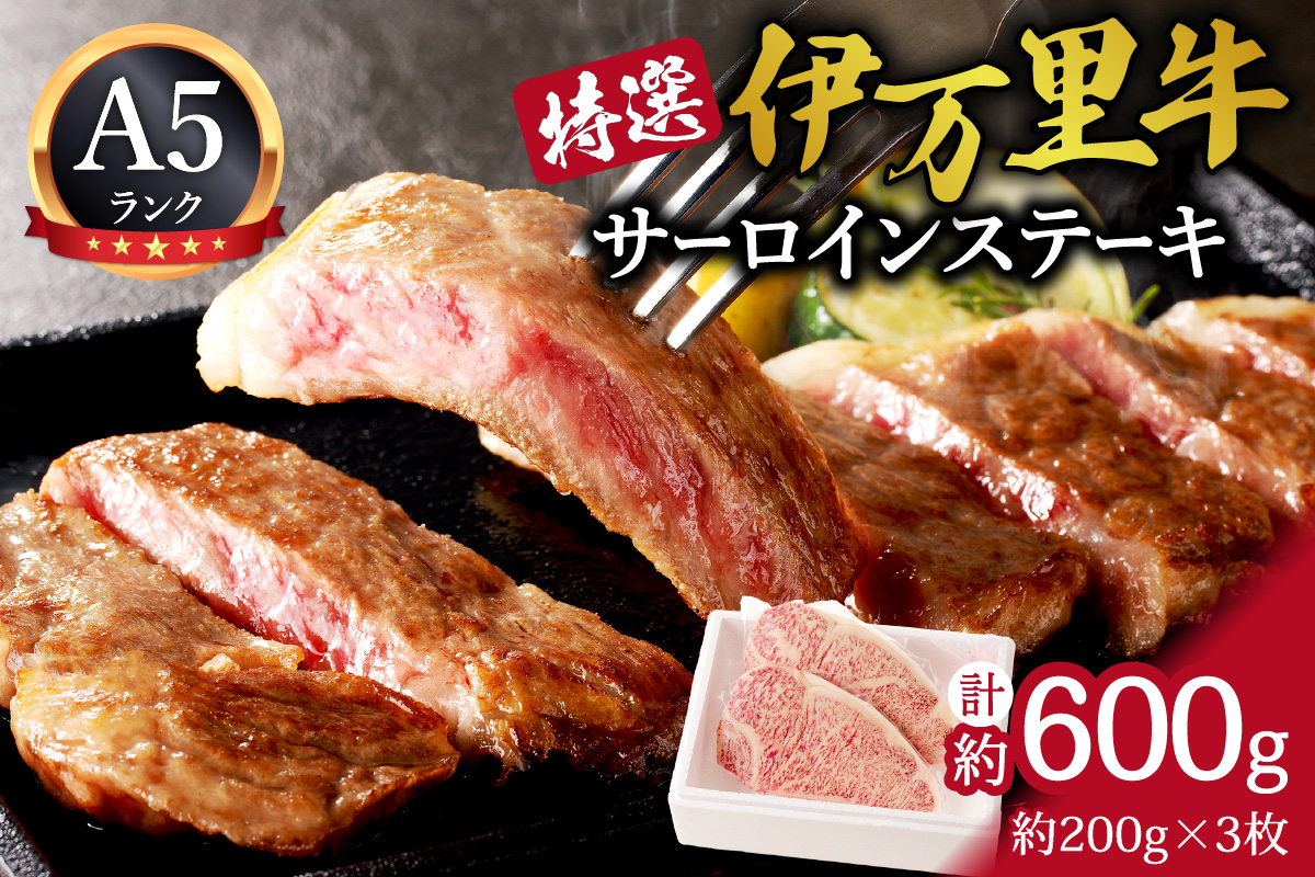 特選伊万里牛 A5 サーロインステーキ 約600g 044-J817