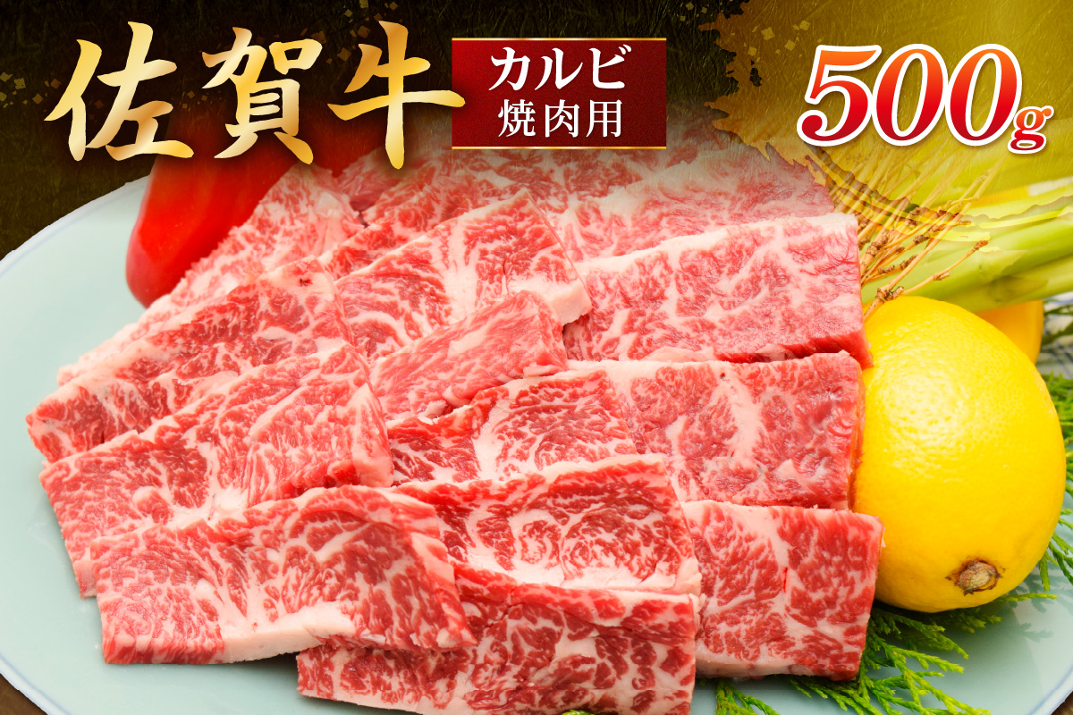 佐賀牛 カルビ 焼肉用 500g 149-J1815