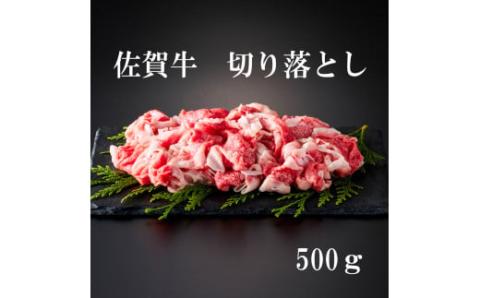佐賀牛 切り落とし 500g 161-J879