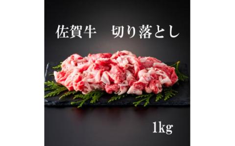 佐賀牛 切り落とし 1kg（ 500g × 2パック） 161-J880