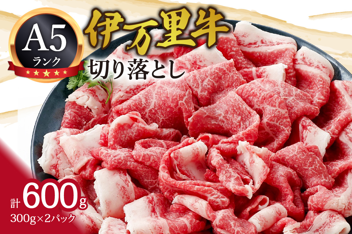 A5 A4厳選 伊万里牛切り落とし 600g 小分け 焼肉 牛丼 炒め物に 061-J1864