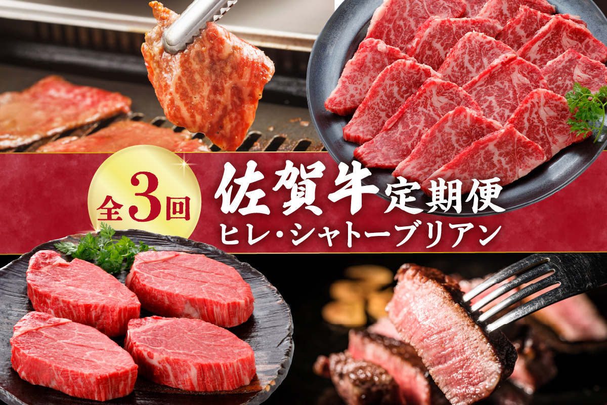 A5 A4 佐賀牛 ヒレ 定期便 （3回便） 999-J956