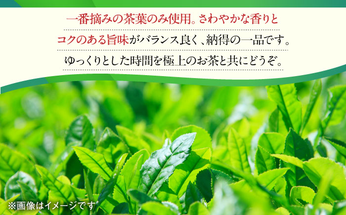【12回定期便】一番摘み茶葉使用 うれしの茶 2本入（やぶきた 玉門 100g×2本） /お茶の深香園 [UAF009] 茶 お茶 緑茶 日本茶 煎茶