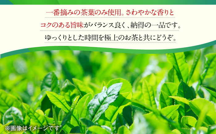 【6回定期便】一番摘み茶葉使用 うれしの茶 3本入（やぶきた 白水 100g×3本） /お茶の深香園 [UAF012] 茶 お茶 緑茶 日本茶 煎茶