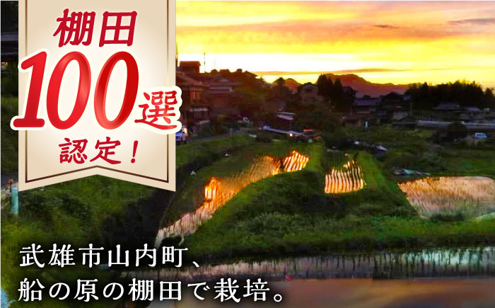 自然農法で育てた特別栽培米 令和7年産 新米 ヒノヒカリ 玄米 9kg（3kg×3袋）/永尾 忠則 [UAS007]