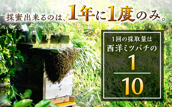 【12月25日入金まで年内発送】【コクと味わい深い甘み】日本蜜蜂 百花 はちみつ 300g /永尾 忠則 [UAS009] 蜂蜜 ハチミツ 日本ミツバチ