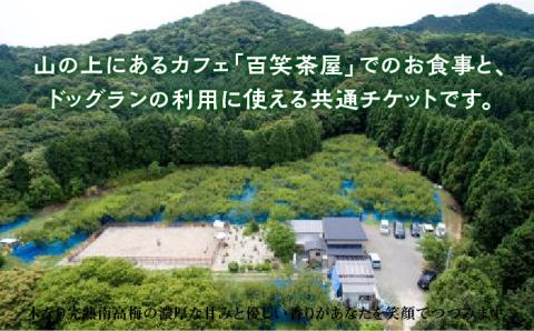 【愛犬と楽しいひと時を！】Cafe 百笑茶屋＆ドッグランで使える共通 チケット /お百笑さん [UAZ002] 体験 食事券 チケット