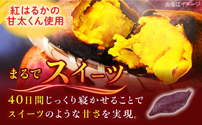 紅はるか（甘太くん）焼き芋 約1.5?s /愛まんてん [UBD008]