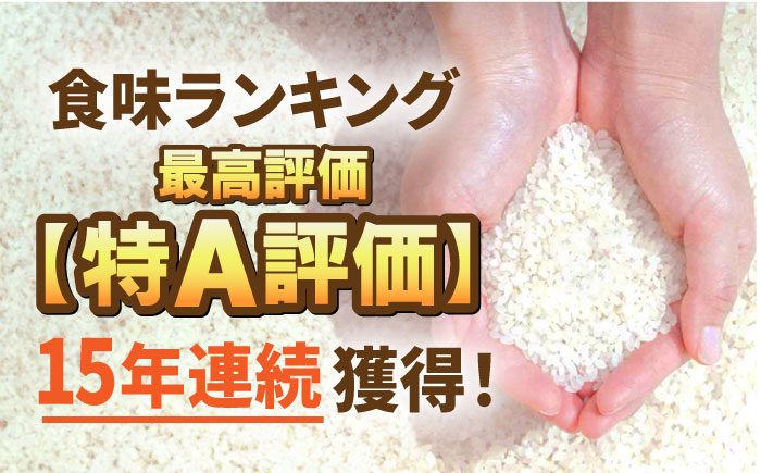 【11月発送開始】【6回定期便】令和6年産 さがびより 白米 5kg＜15年連続特A評価＞ 配送前精米/江口農園 [UBF007] さがびより 白米 米 お米 精米 佐賀県産 特A