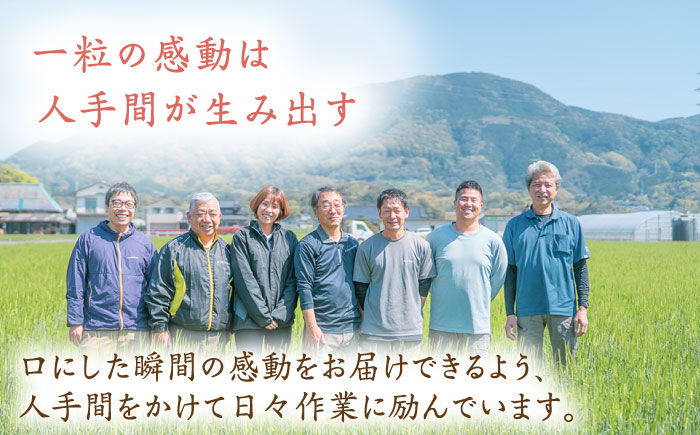 【最高ランク 特A評価】令和6年産 夢しずく 玄米 10kg /江口農園[UBF015] 玄米 米 お米 精米 佐賀県産 特A