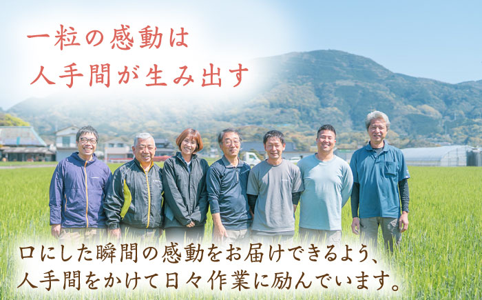 令和6年産 白米 ギフトセット 3種 ( さがびより ヒノヒカリ 夢しずく 各450g ) 配送前精米/江口農園[UBF023] 白米 米 お米 精米 佐賀県産 ギフト 贈答 お中元 お歳暮 特A