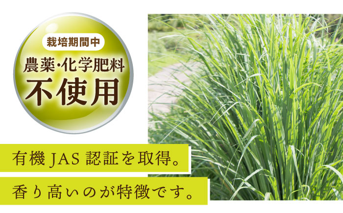 レモングラス インセンス 1箱 /クロップス武雄レモングラス [UBG004]