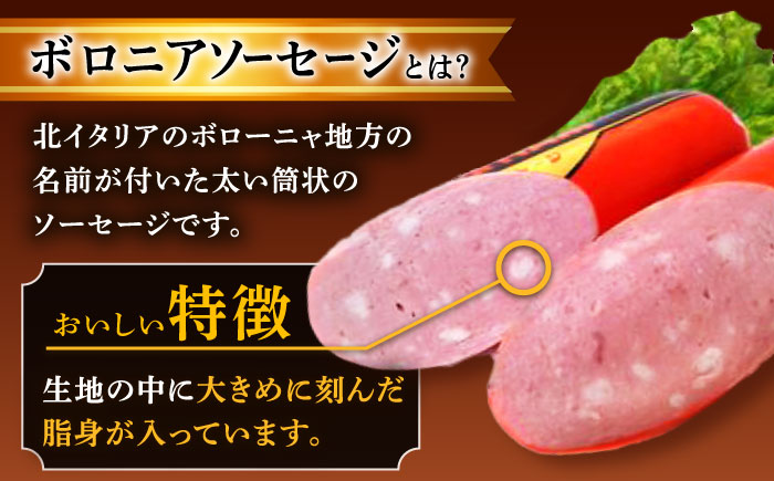 【6回定期便】宮地ハムのロングセラー ボロニアソーセージ 100g×7本 /宮地ハム [UBM012] 豚肉 豚 肉 ソーセージ