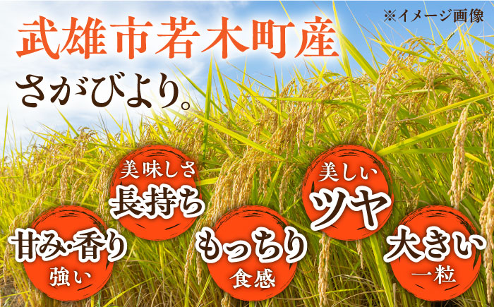 【もっちりツヤツヤの自慢のお米！】令和7年産 新米 大楠水車米 さがびより 10kg（5kg×2袋）/若木町まちづくり推進協議会 [UBY003] 水車米 米 こめ お米 白米 精米 ごはん