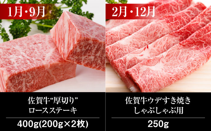 【全12回】 A5ランク 佐賀牛 霜降り 食べ比べ 定期便 約2人前 総計4kg /焼肉どすこい [UCC002] 最高級 牛肉 肉 ステーキ スライス ローストビーフ ハンバーグ