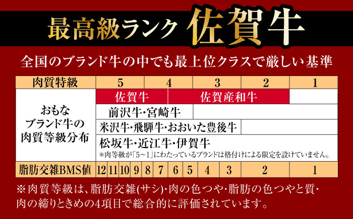 【全12回】 A5ランク 佐賀牛 霜降り 食べ比べ 定期便 約2-3人前 総計5.52kg /焼肉どすこい [UCC005] 最高級 牛肉 肉 ステーキ スライス ローストビーフ 焼肉