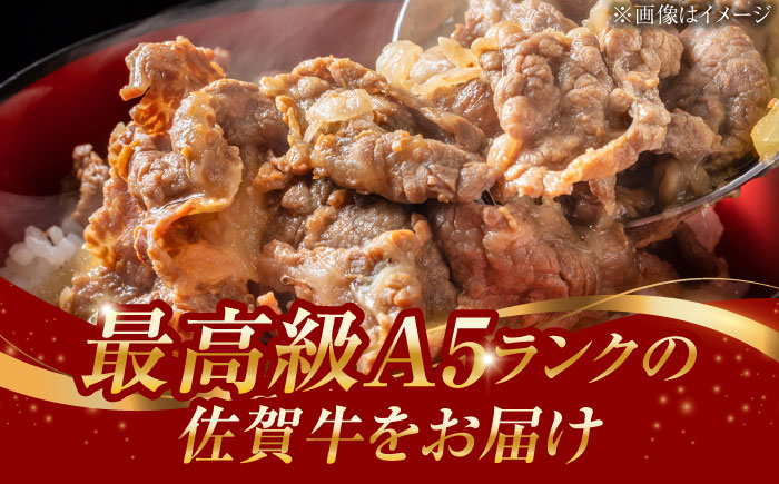 A5ランク 佐賀牛 切り落とし 460g /焼肉どすこい [UCC010] 牛肉 肉