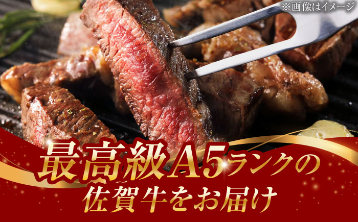 A5ランク 佐賀牛 厚切り ロースステーキ 300g (150g×2枚) /焼肉どすこい [UCC019] 牛肉 肉 ステーキ ロース