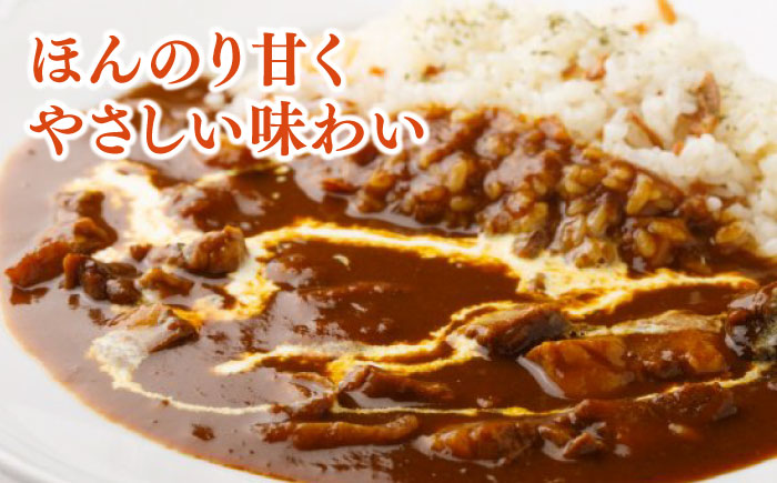 【12回定期便】プルミエ熟成カレー 180g×4袋/フレンチキッチン プルミエ [UCF011]
