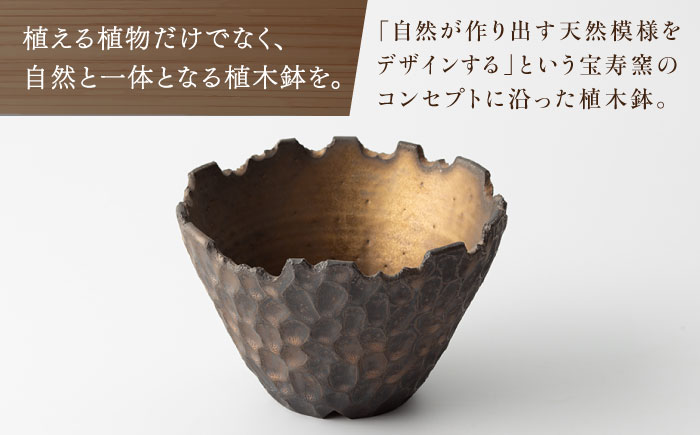 【宝寿窯】植木鉢（大）carving [UCN025-1] フラワーポット インテリア 雑貨 やきもの 陶磁器 carving