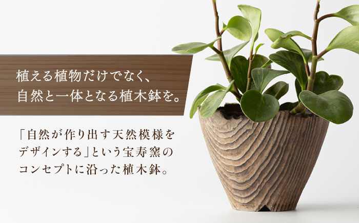 【宝寿窯】植木鉢（大）cera wood [UCN025-2] フラワーポット インテリア 雑貨 やきもの 陶磁器 cera wood