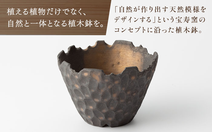 【宝寿窯】植木鉢（小）carving [UCN026-1] フラワーポット インテリア 雑貨 やきもの 陶磁器 carving