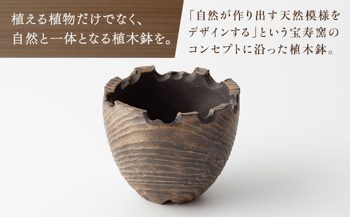 【宝寿窯】植木鉢（小）cera wood [UCN026-2] フラワーポット インテリア 雑貨 やきもの 陶磁器 cera wood