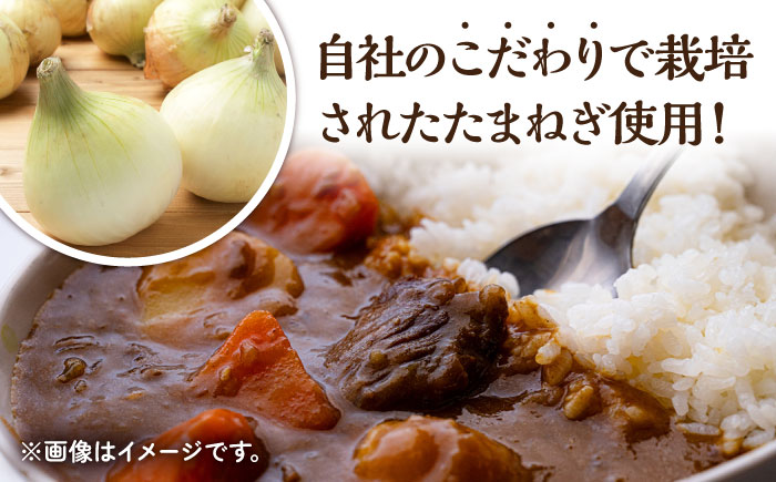 【6回定期便】薬膳スパイスチキンカレー 4食（200g×4） /自然庵 [UCQ005] カレー レトルト 鶏肉 鶏 チキン