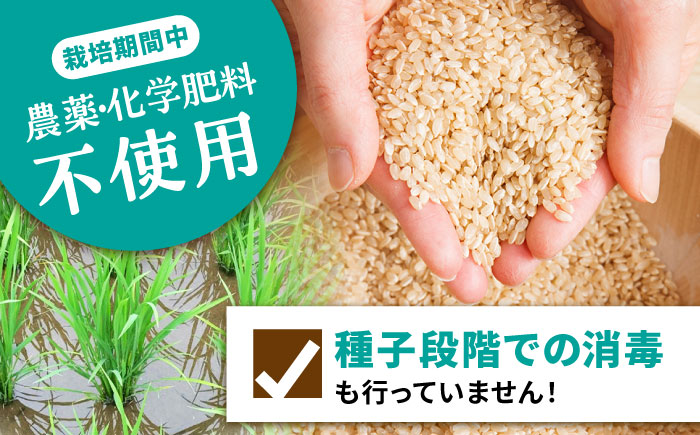【12回定期便】栽培期間中 農薬・化学肥料不使用 自然米 玄米 3kg（ヒノヒカリ 1kg×3袋）/自然庵 [UCQ024]
