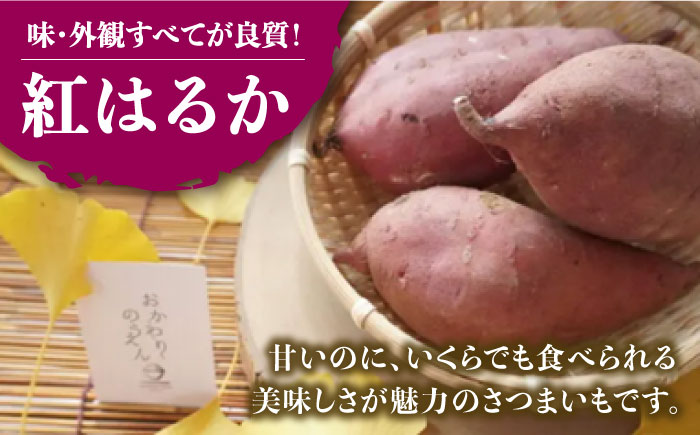 佐賀県武雄市産 さつまいも 紅はるか 約5kg /おかわりのうえん [UDD001] 芋 いも サツマイモ