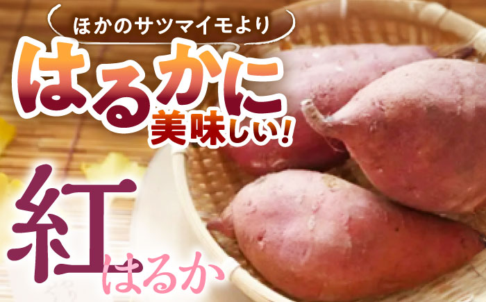 佐賀県武雄市産 さつまいも 紅はるか 冷凍 焼き芋 2kg（2個入×5袋）/おかわりのうえん [UDD002] 芋 いも サツマイモ 焼きいも