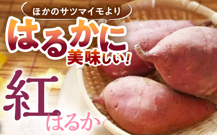 【4回定期便】紅はるか 冷凍焼き芋 2kg [UDD003]