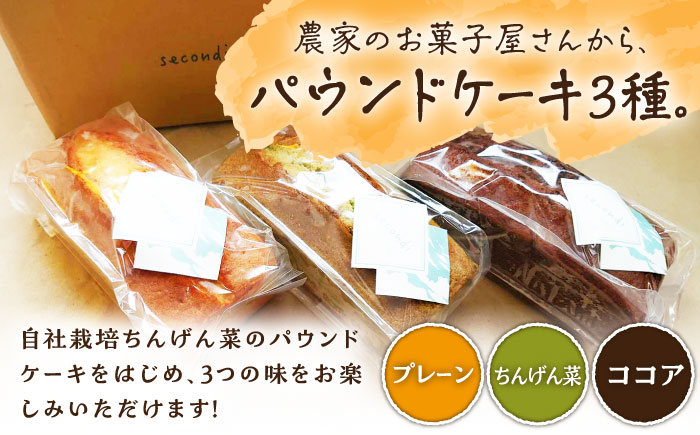 【6回定期便】自家製野菜も使用 パウンドケーキ 3種セット ( チンゲン菜 ココア プレーン ) /おかわりのうえん [UDD011]