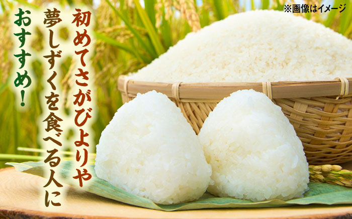 【特A評価獲得】武雄産米 2種お試し食べ比べセット　さがびより・夢しずく 2合(300g)×2袋 /株式会社 y’s company（utsu和ya） [UDX022] 白米 お米