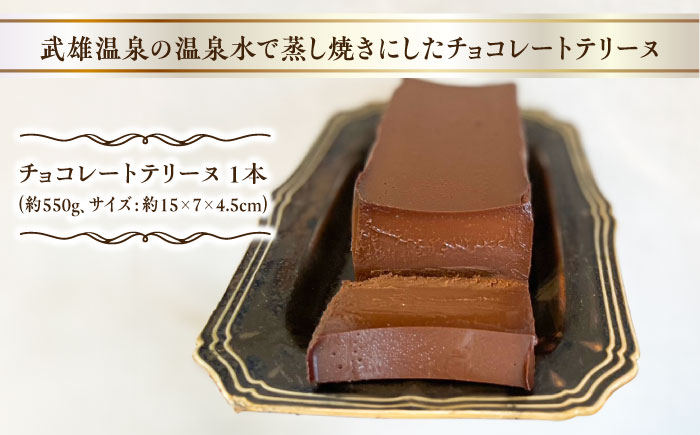 【武雄温泉の温泉水で蒸し焼き】濃厚チョコレートテリーヌ 1本 /Bake Story [UDY001] ケーキ お菓子