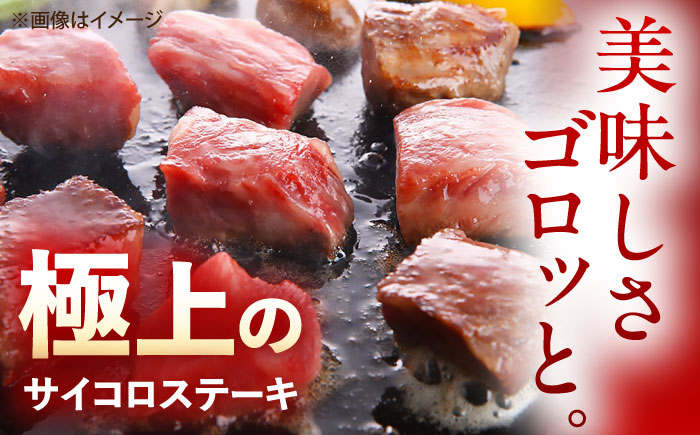 【12回定期便】佐賀牛 サイコロステーキ 500g /MKミート武雄 [UEM027]