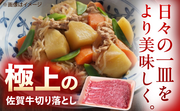 【12回定期便】佐賀牛 切り落とし 1.2kg（600g×2p） /MKミート武雄 [UEM037]