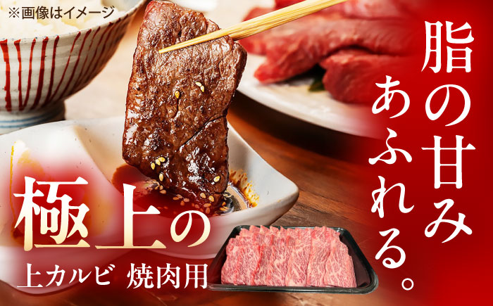 【12回定期便】佐賀牛 上カルビ 焼肉用 500g /MKミート武雄 [UEM052]