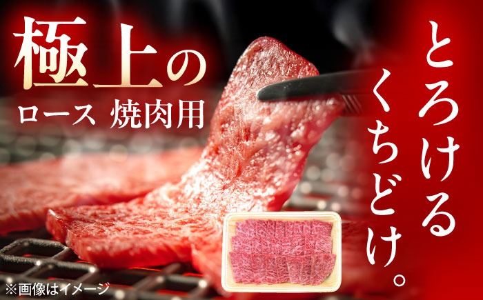 【6回定期便】佐賀牛 ロース 焼肉用 500g /MKミート武雄 [UEM056]