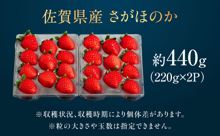 佐賀県産イチゴ「さがほのか」約440g（220g×2パック） /有限会社しげやす [UEQ001]