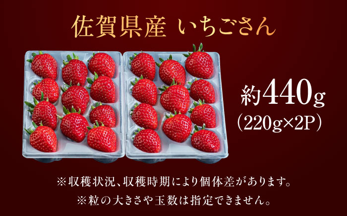 佐賀県産イチゴ「いちごさん」約440g（220g×2パック） /有限会社しげやす [UEQ002]