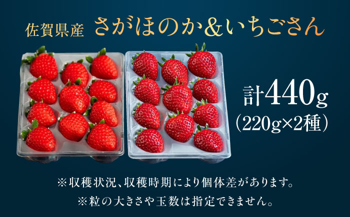 佐賀県産いちご2種食べ比べセット「さがほのか・いちごさん」約440g（220g×2種） /有限会社しげやす [UEQ003]
