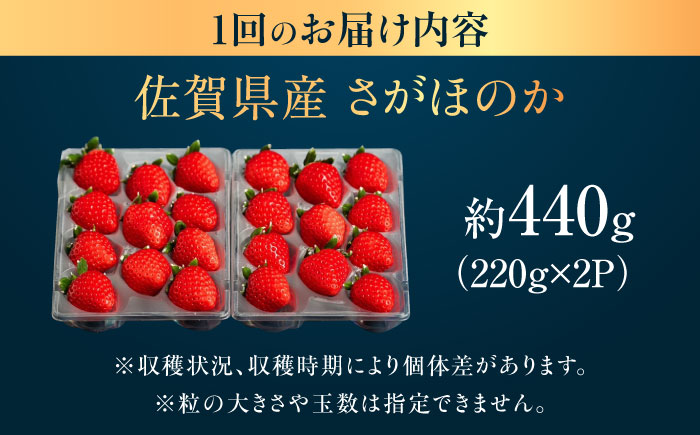 【3回定期便】佐賀県産イチゴ「さがほのか」約440g（220g×2パック） /有限会社しげやす [UEQ004]