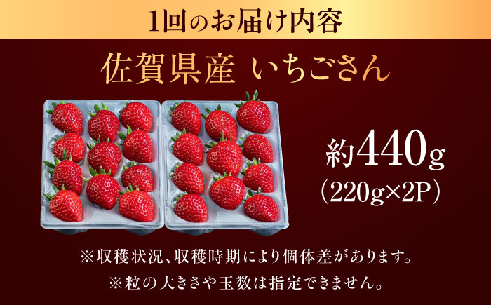 【3回定期便】佐賀県産イチゴ「いちごさん」約440g（220g×2パック） /有限会社しげやす [UEQ005]